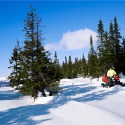 Husqvarna P520dx Zitmaaier Diesel -Exporteren Tuin Bouw Tool Winkel Husqvarna20Rider20P52020D20918